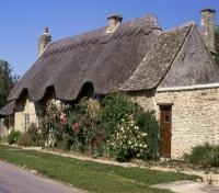 Thached Cottage at Minster Mill